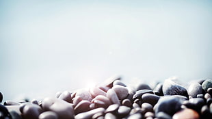 photography of pebbles HD wallpaper