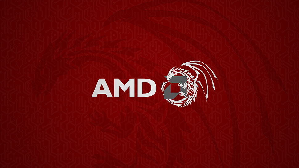 AMD logo, AMD, dragon, red HD wallpaper