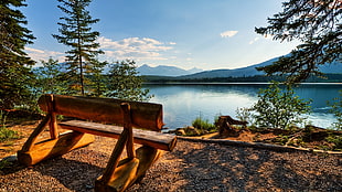 brown wooden bench near body of water at daytime