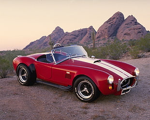 red Shelby Cobra near green plants and cactus ind distant of mountain