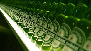 Heineken bottle lot, bottles, green, Heineken, Dutch HD wallpaper