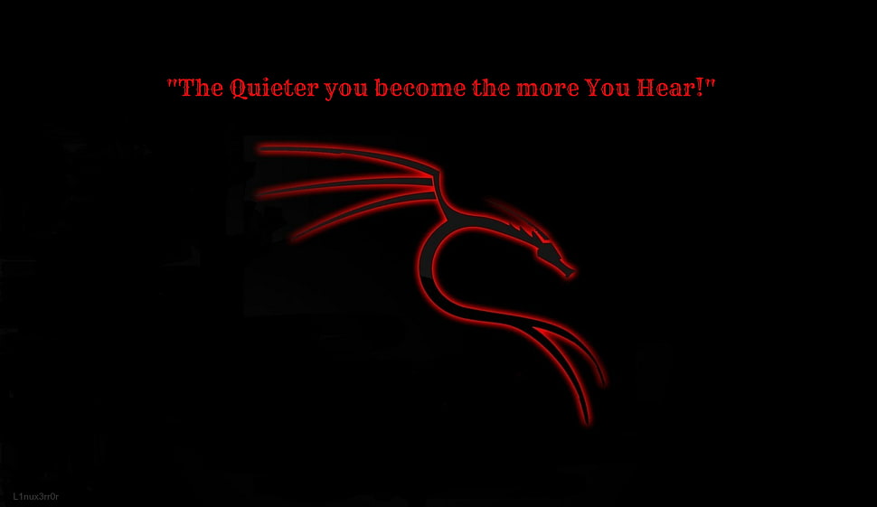 red and black LED light, dragon, quote HD wallpaper