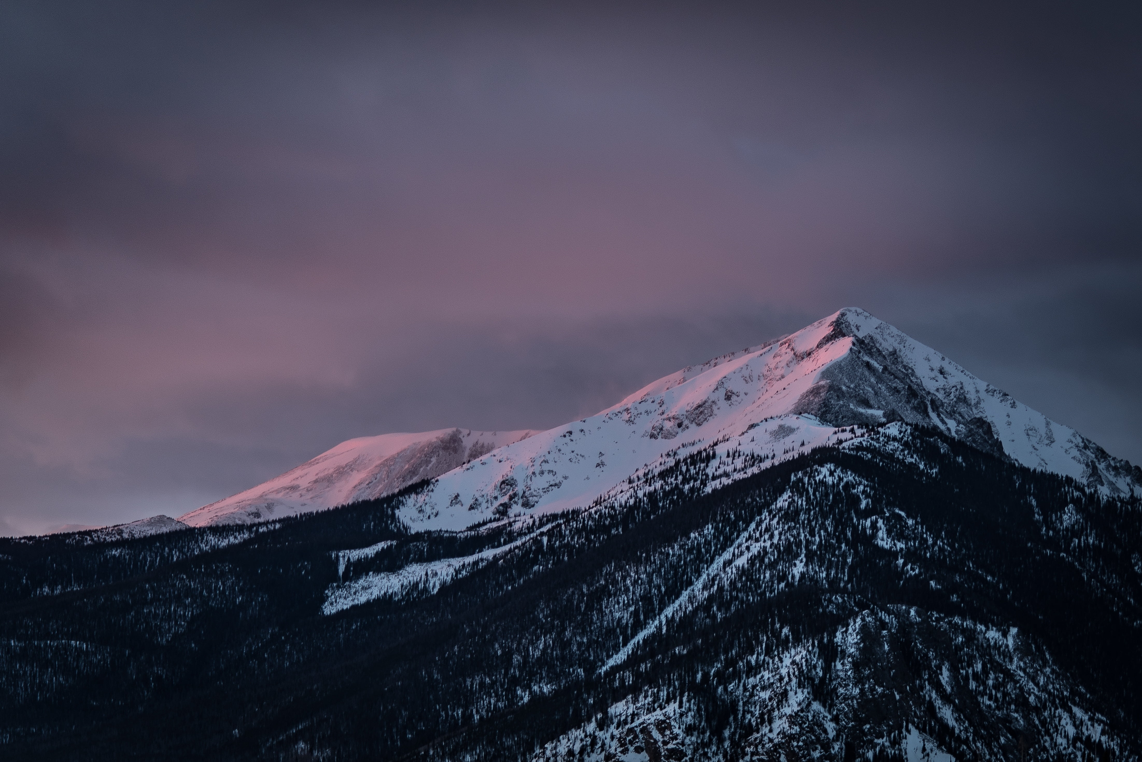 mountain with snow ilustration, nature, snow, trees, mountains