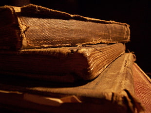three brown covered books, depth of field, books, ancient