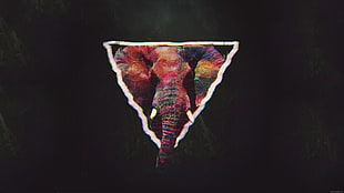 elephant sticker, glitch art, abstract, triangle, elephant