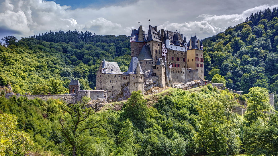 gray and brown castle photo during daytime HD wallpaper