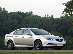 silver Acura TL parked near green trees during daytime HD wallpaper