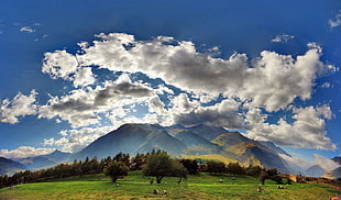 green mountain, nature, mountains, plains, landscape HD wallpaper