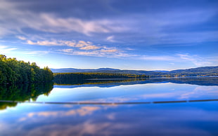 panoramic photo of trees and lake at daytime