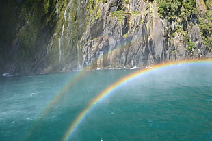 body of water, rainbows, New Zealand, nature, Milford Sound HD wallpaper