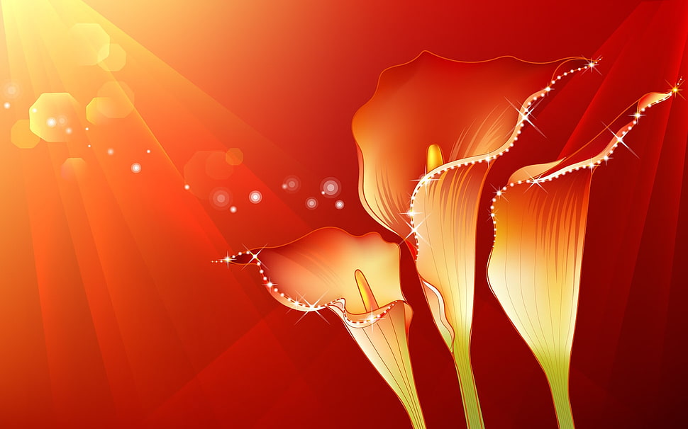 red and yellow petaled flower HD wallpaper
