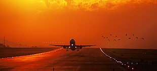 plane landing on sunset