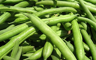 string beans lot