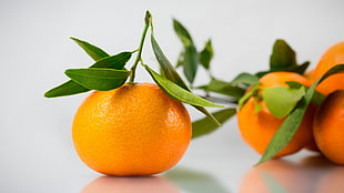 photography of three orange citrus fruits HD wallpaper
