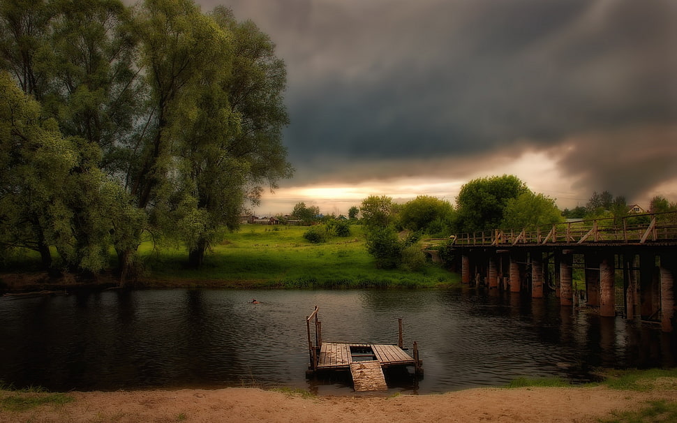 brown wooden dock during daytime HD wallpaper