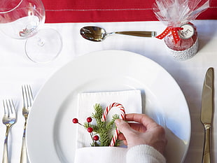 candy cane and mistletoe on top of paper towel inside round white ceramic plate