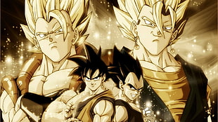 Dragon Ball Z Son Goku and Vegetta illustration