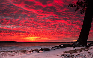seashore taken during sunset digital wallpaper