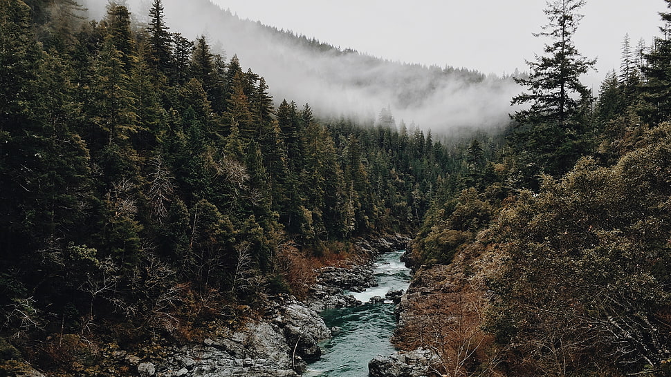 landscape photography HD wallpaper