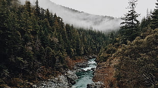 landscape photography HD wallpaper