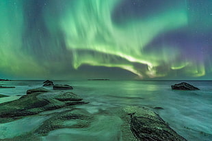 aurora borealis during nighttime, norway HD wallpaper