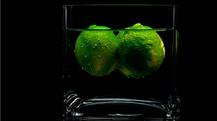 green and black fish tank, drinking glass, lemons, water