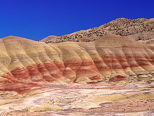 brown desert, landscape