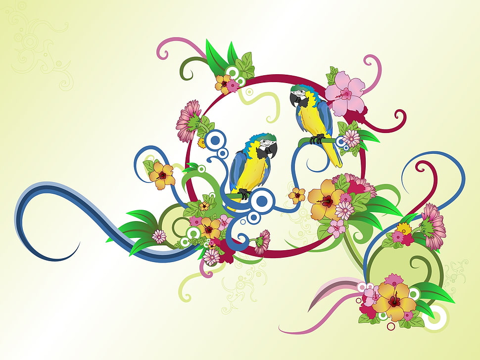 two Ara Ararauna illustration HD wallpaper