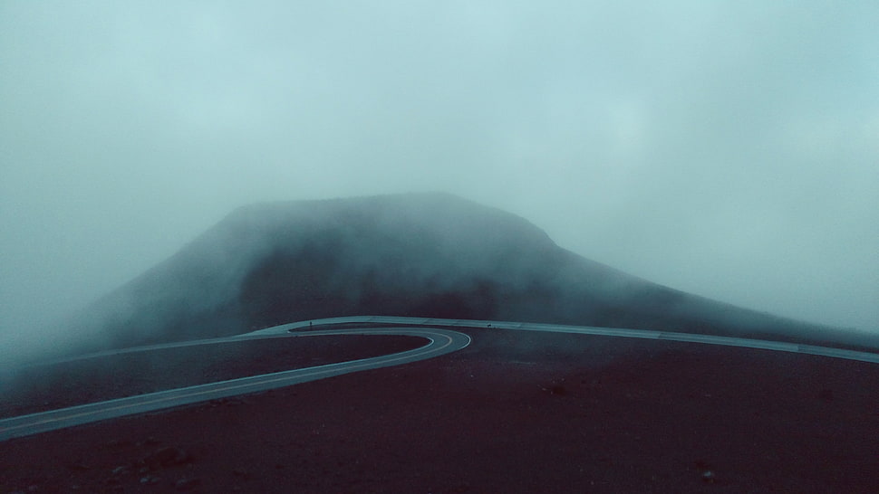 gray asphalt road, nature, landscape, road, mist HD wallpaper