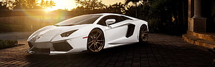 white sport car, Lamborghini Aventador, car, multiple display, dual monitors