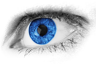 blue eyes illustration HD wallpaper