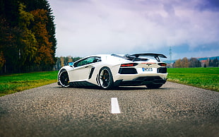 white sport car, Lamborghini Aventador, Lamborghini, car HD wallpaper