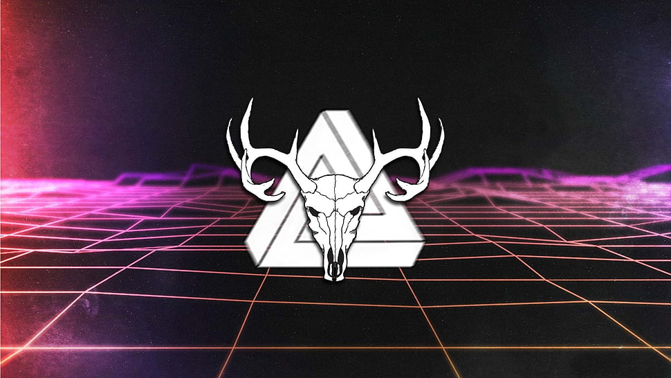 white animal skull illustration, head, triangle, digital art HD wallpaper
