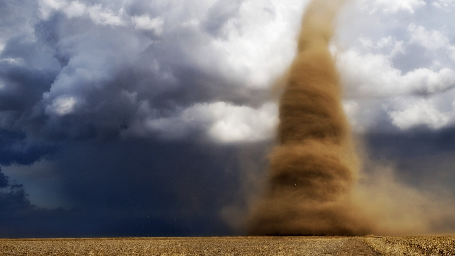 brown and white abstract painting, tornado