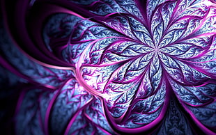 purple flower, abstract, fractal HD wallpaper