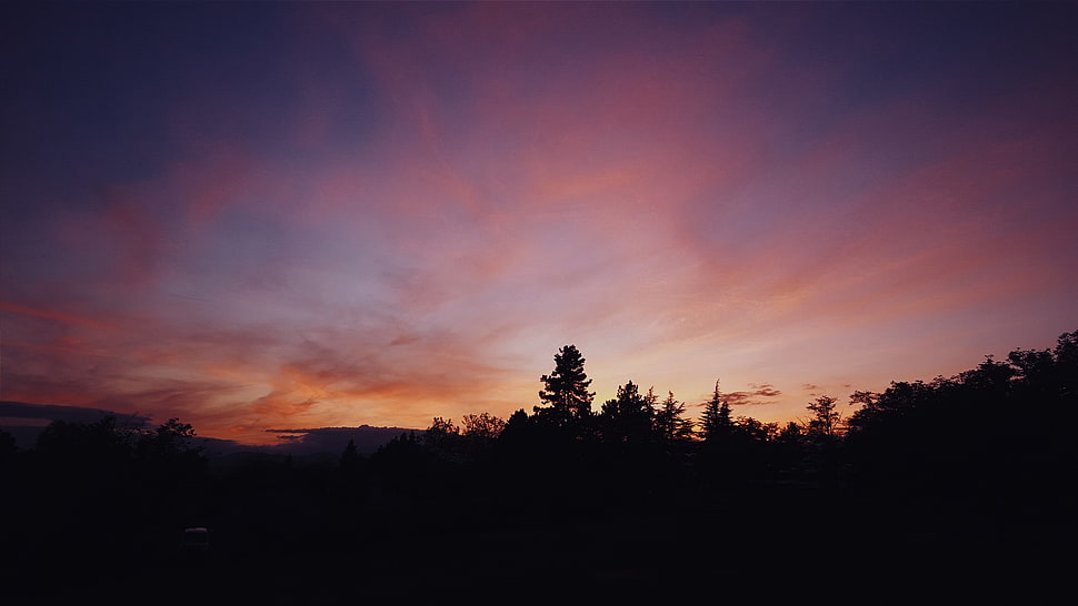 tall tree, landscape, sky, clouds, sunset HD wallpaper