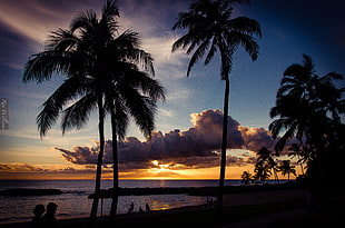 beach sunset photo HD wallpaper