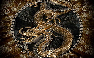 gold and silver dragon illustration, chinese dragon, dragon HD wallpaper