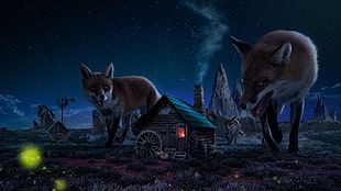 three big wolves and house cartoon poster HD wallpaper