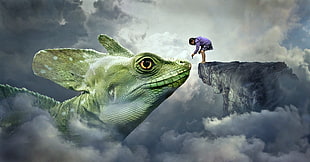 girl on cliff feeding green Lizard HD wallpaper