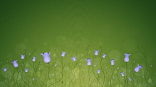 flower graphic wallpaper HD wallpaper