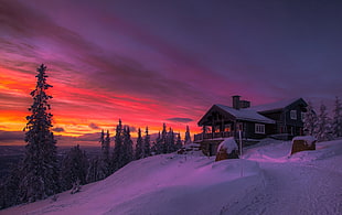 winter, sunset, clouds, forest
