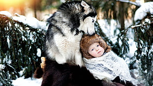 black and white siberian husky sitting with baby in winter clothing in a snow covered surrounding during day time