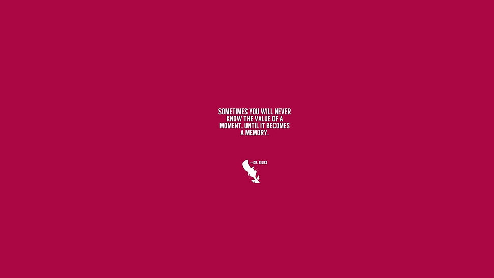 white text with red background HD wallpaper