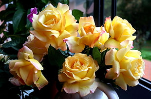 closeup photography of yellow roses bouquet