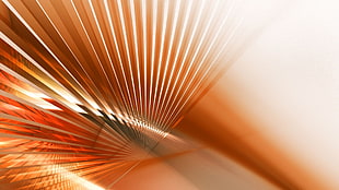 brown and white rays wallpaper