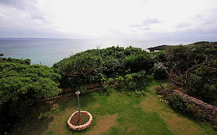 aerial photo of green trees near wide open sea under cloudy sky at day time