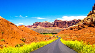 photography of concrete road between grand canyon hills HD wallpaper
