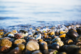 assorted stone pebbles beside water HD wallpaper