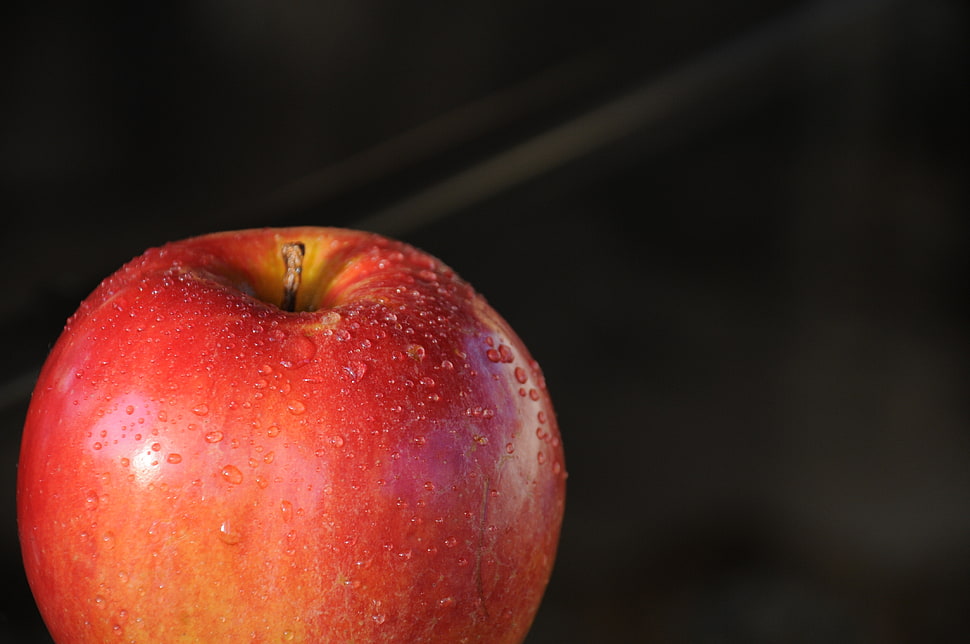 shallow focus photography of red apple HD wallpaper